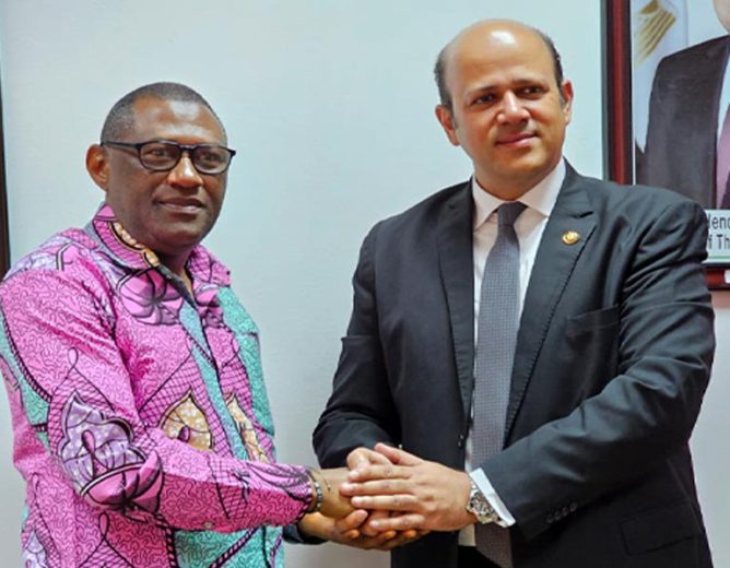 Egyptian Coordinating Committee Of Youth Groups In Politics And Politicians Delegation Seeks Stronger Ties With Sierra Leone