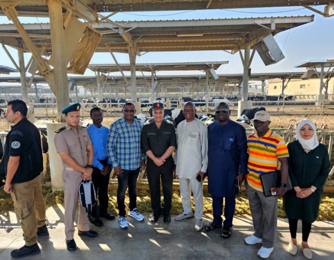 Deputy Minister Of Defence Sierra Leone, And Entourage Tour The Integrated Complex For Animal Production And Sierra Leone Embassy In Cairo, Egypt