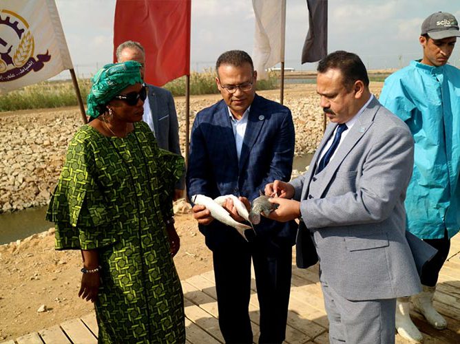 Ministry of Fisheries and Marine Resources reaches an agreement on a strategic partnership with Egyptian National Company for Fisheries and Aquaculture